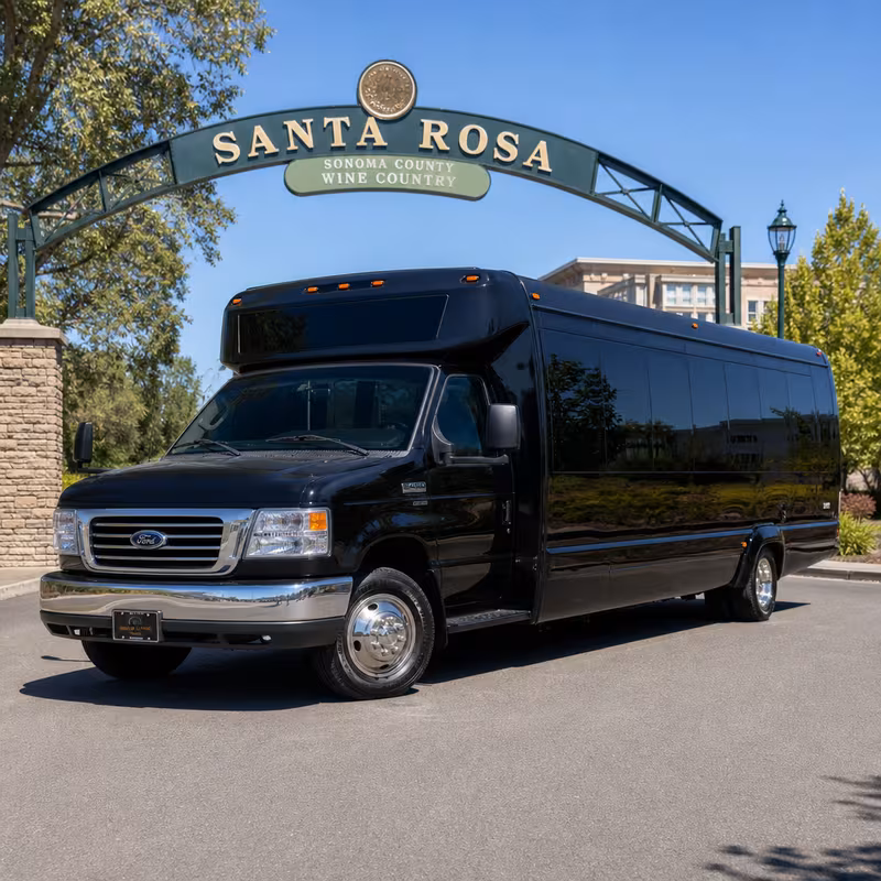 20 Passenger Party Bus